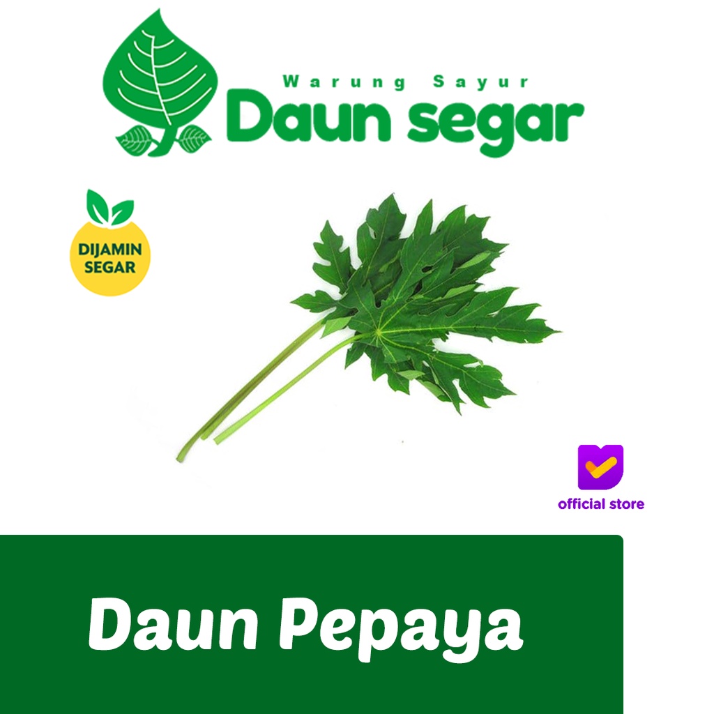 

Daun Pepaya Pait Perikat ikat Fresh