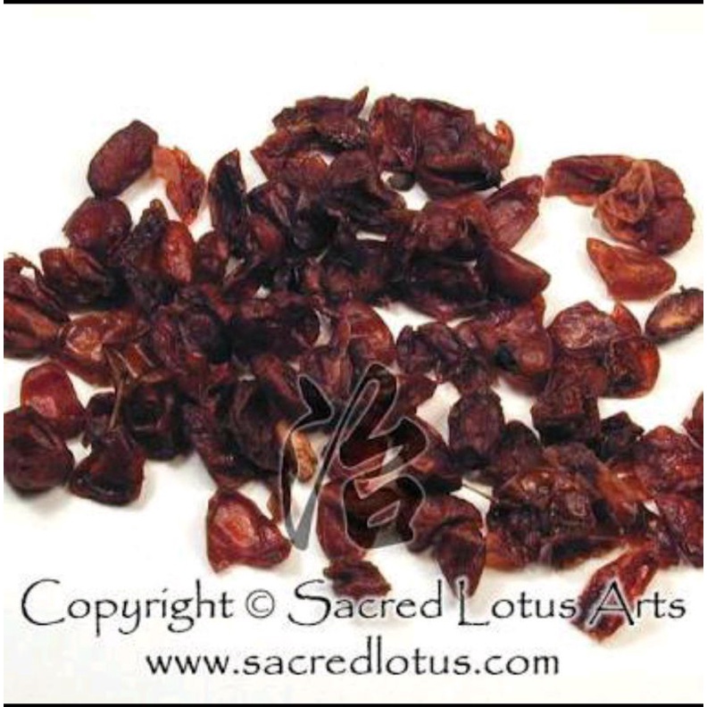 

300 G GR GRAM SHAN ZHU YU SHAN ZAO ROU 山茱萸 山枣肉 CORNUS FRUIT DOGWOOD FRUIT