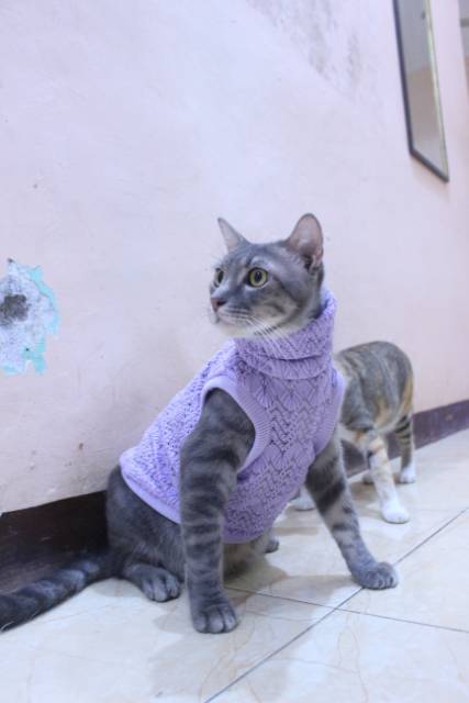 Baju rajut ala korea warna ungu untuk kucing dan anjing / baju kucing murah size S M L XL