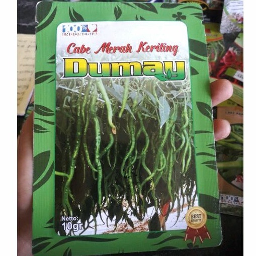 BENIH CABE DUMAY 10 gram- cmk Dumay- Benih Cabe Merah Keriting Dumay