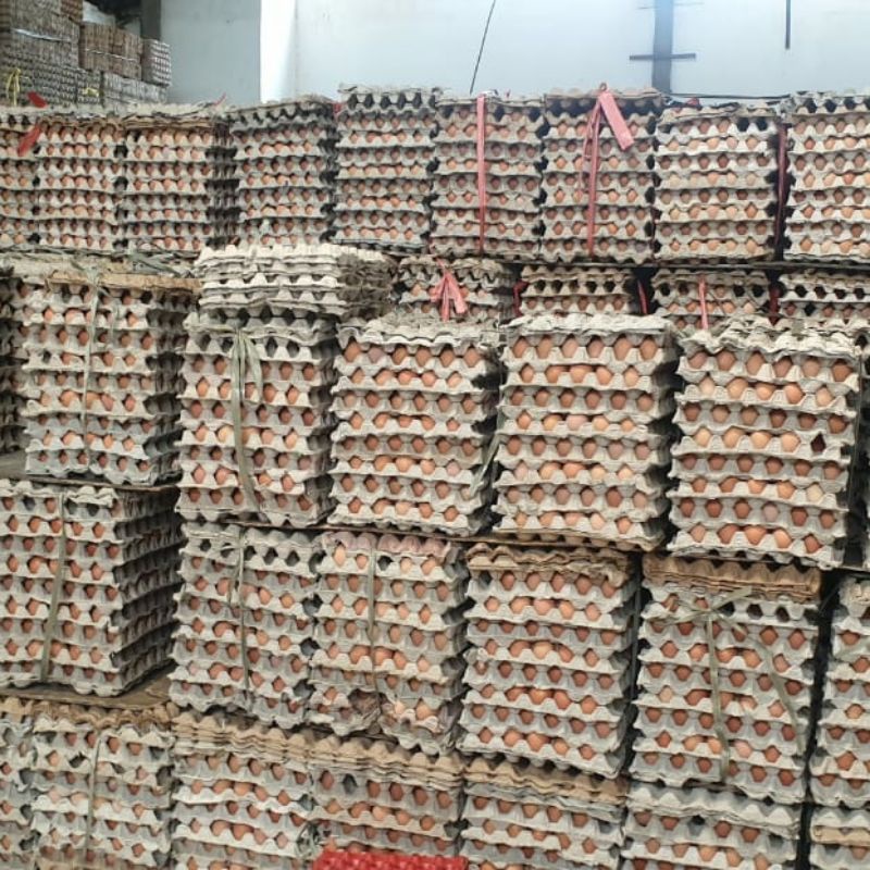 Telur Ayam Negeri  fresh 15 Kg