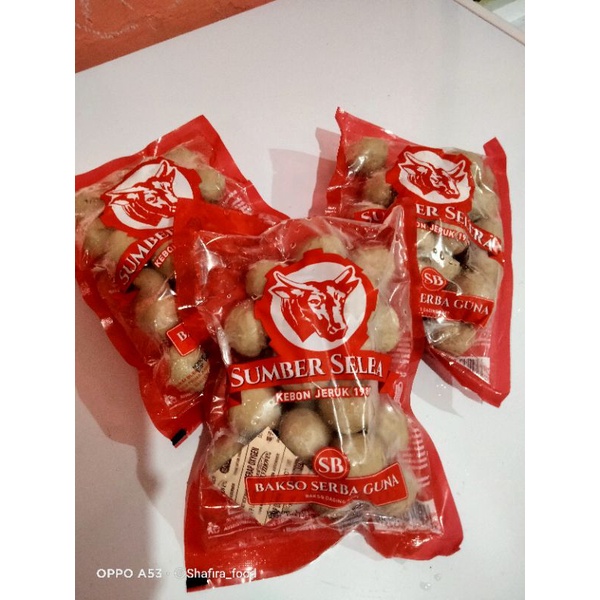 

Bakso Sapi Sumber Selera isi 25pc