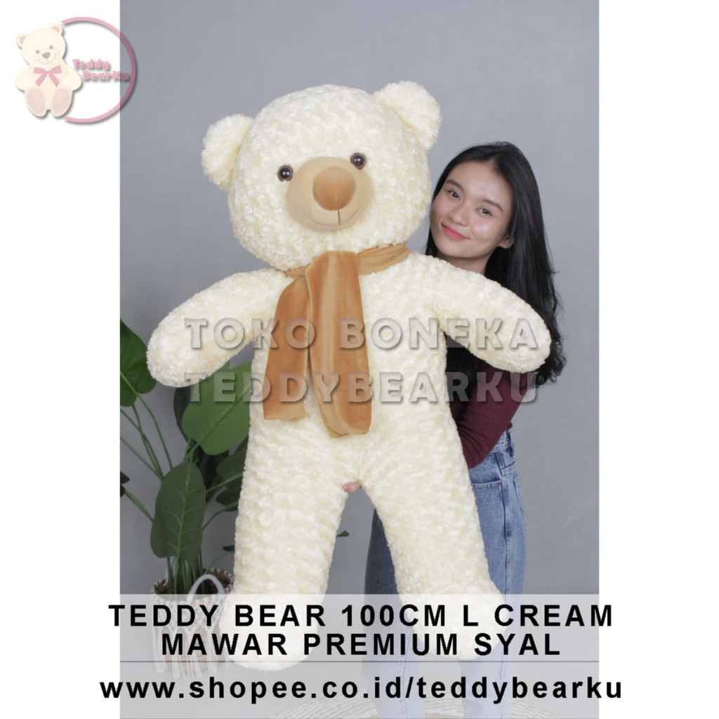 Boneka Teddy Bear Mawar Cream 1 Meter Premium + Syal (Langka)