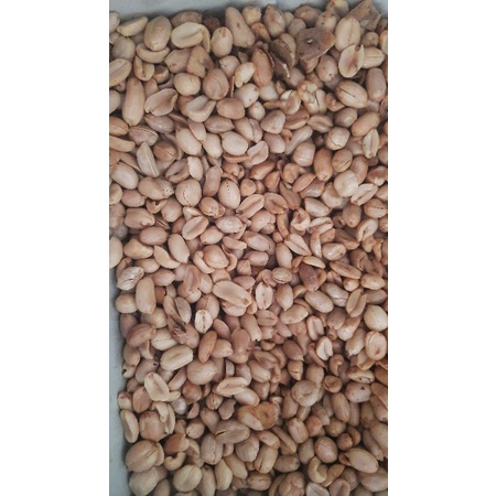 

kacang goreng rasa asin bawang goreng enak gurih kualitas super 1000gr