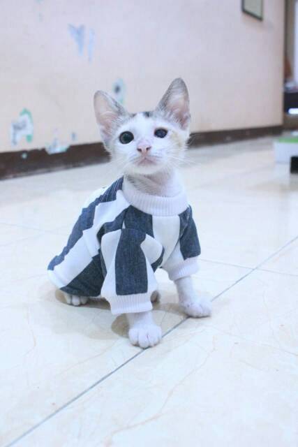 Kaos strip hitam putih motif besar lucu untuk kucing dan anjing baju kucing murah size S M L XL