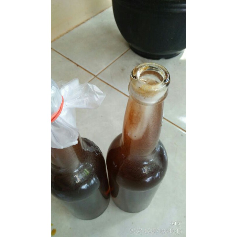 Madu Tawon asli murni tanpa campuran