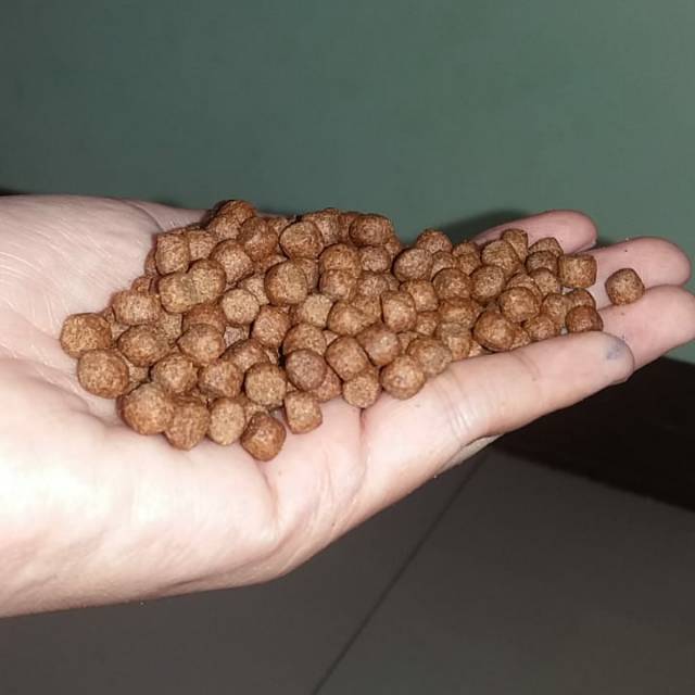 Pelet 782 / makanan ikan (1 kg)