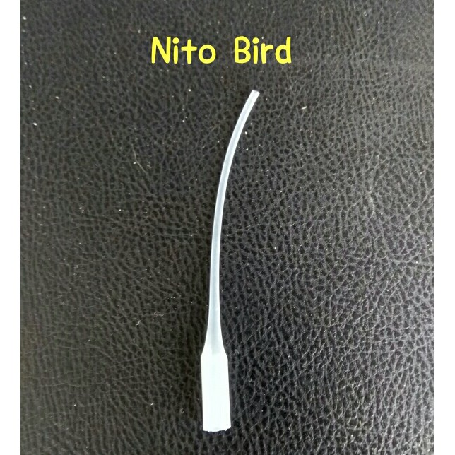 selang loloh spet cindil burung lovebird usia 0 - 7 hari