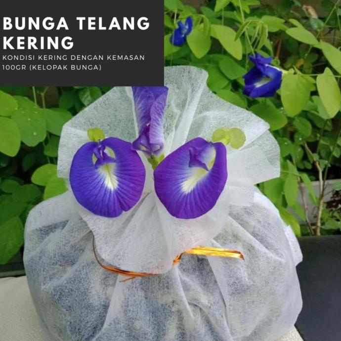 

---Terbaru--- Telang Kering Kemasan 1KG