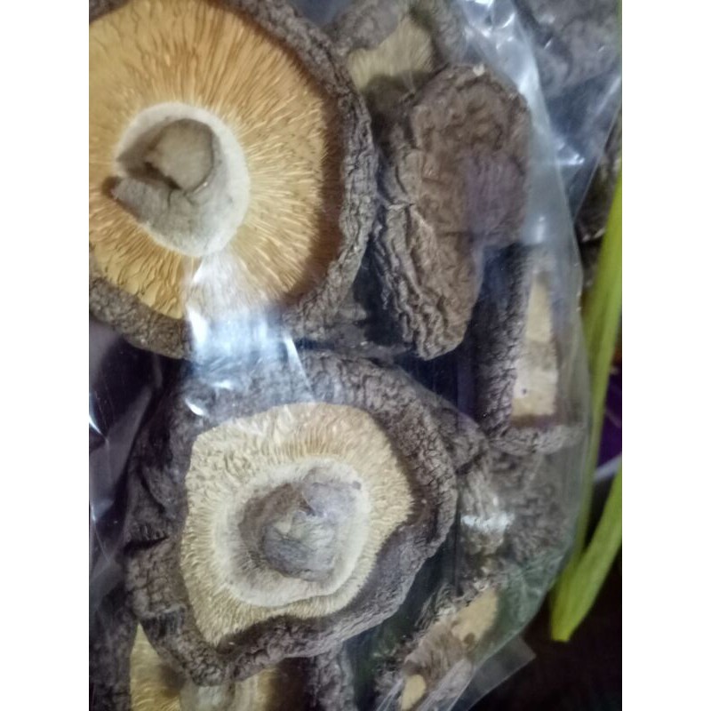 

Jamur Shitake / hioko 100gr uk.sedang kualitas super
