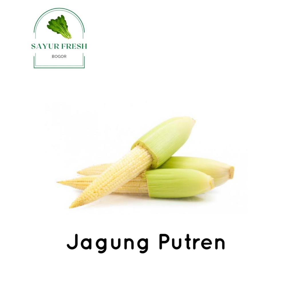 Jual Jagung Putren Segar Bogor Sayur Bogor Segar 250 Gr Shopee Indonesia 