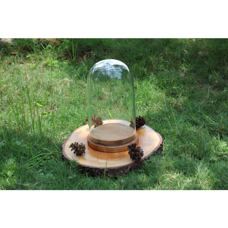 Glass dome / mahar rustic / ringbox kaca