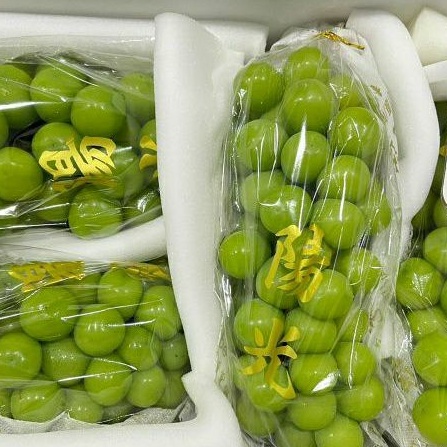 

amggur hijau anggur shine mucat cina fresh manis per 1 kg