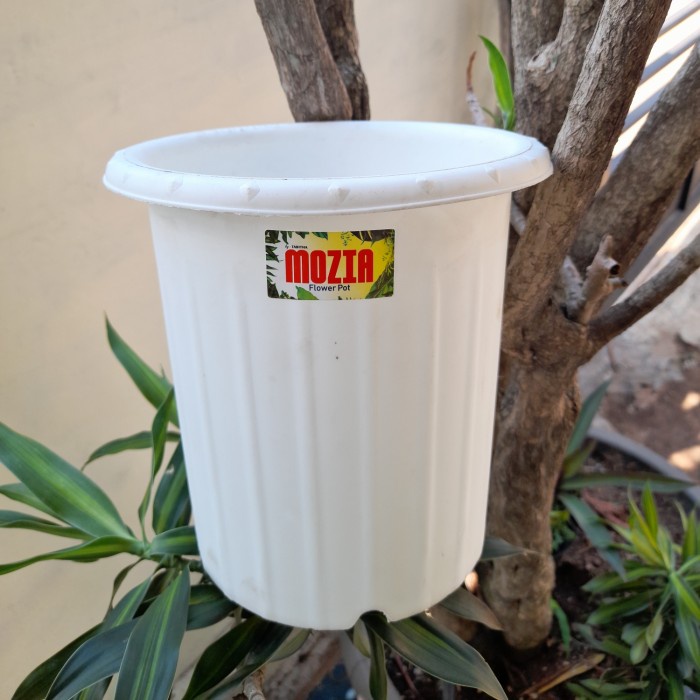 Pot Mozia 18 Putih-Coklat // Pot Plastik Mozia 18 warna