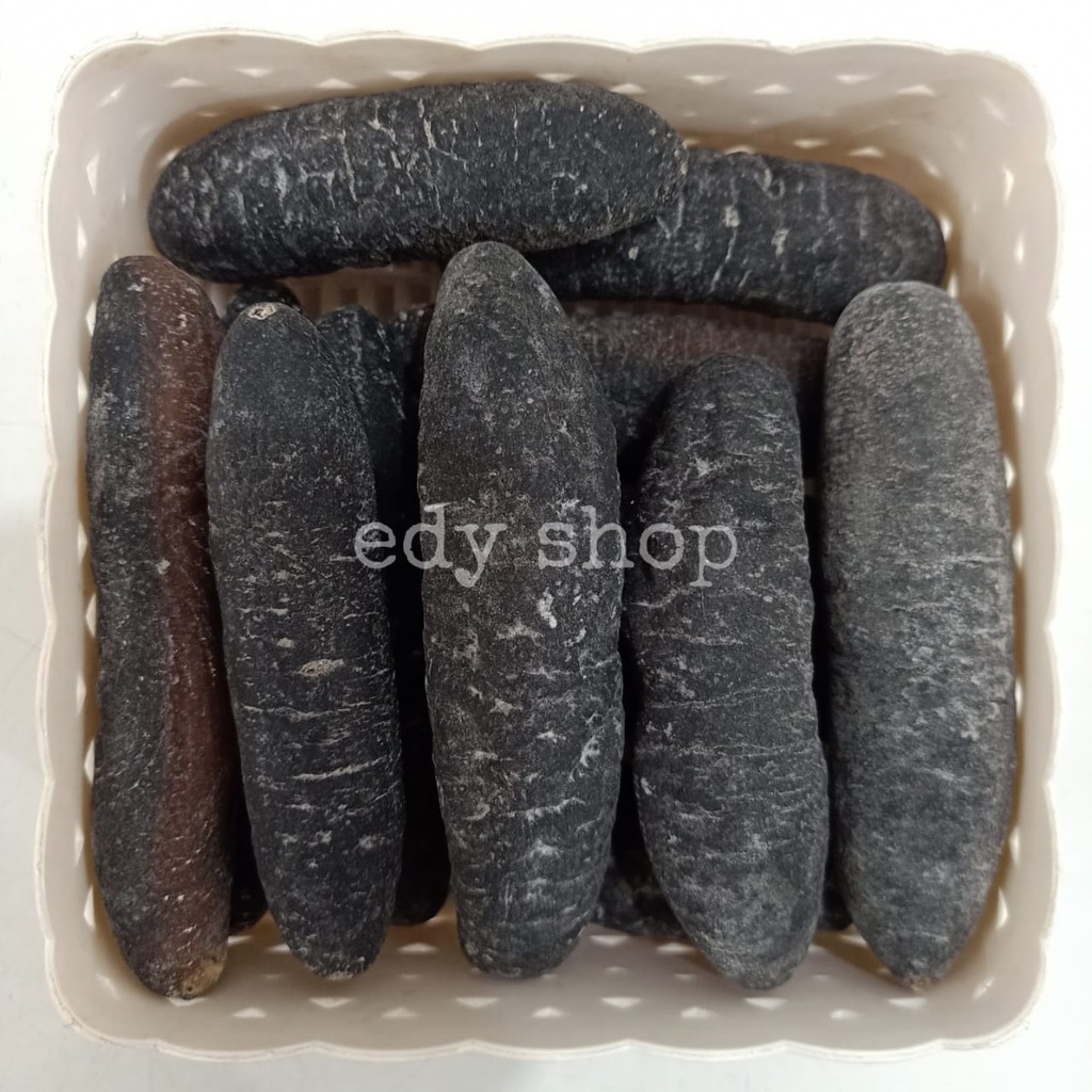 

500 GR (13-15 EKOR) HAISOM / TUKSOM / TERIPANG BAKAU / BELITUNG