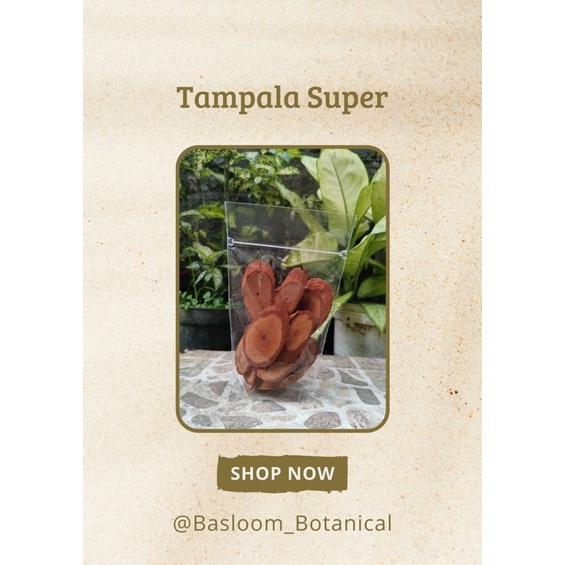 

Akar Bajakah Tampala Super Original Kalimantan !!!