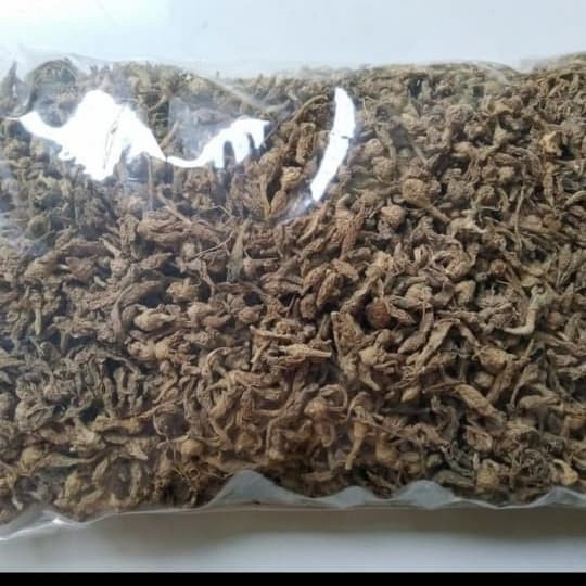 

Kunci Pepet Kering Temu Rapet Kering Asli Kwalitas Bagus 250 g (1/4 kg)