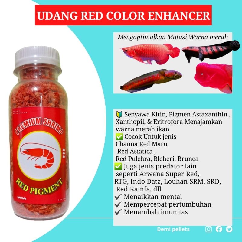 Udang Kering Premium Plus pigmen CAROPHYLL RED YELLOW BLUE untuk ikan CHANNA ARWANA LOUHAN dan ikan Predator