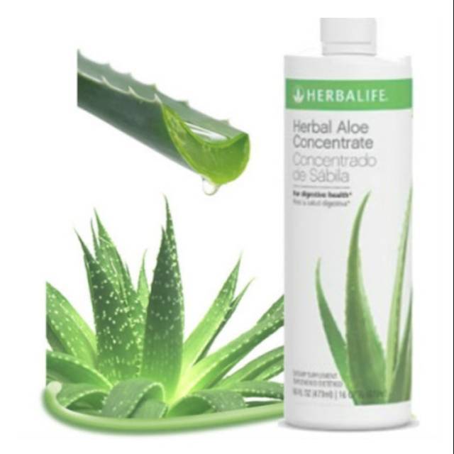 Herbal Aloe Concentrate Herbalife Aloe Vera Suplemen Memperbaiki Metabolisme Indonesia