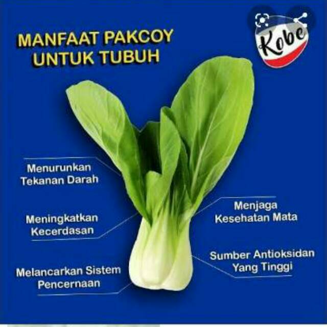 

FreshBox pakchoy pakcoy 500gr