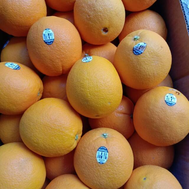 

Buah Sankis Navel Usa (Aus)