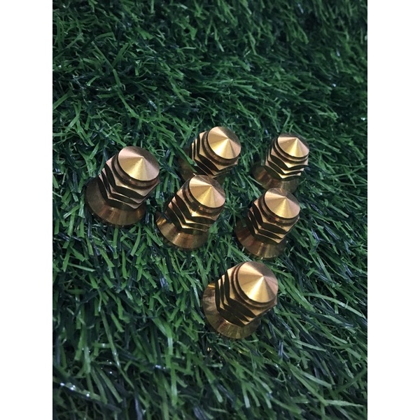 Mur 12 probolt topi stainles Gold