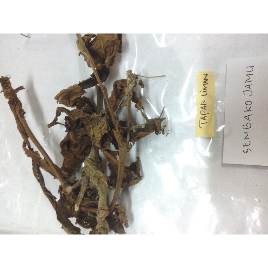 

Daun tapak liman 1kg