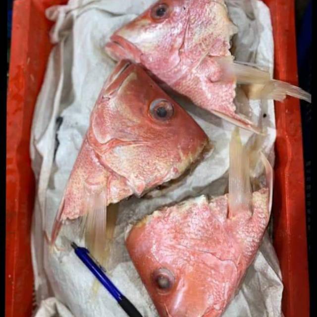 

Kepala kakap merah (1KG )Termurah !!!!