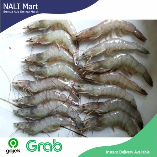 

Udang Segar Ukuran Sedang Sayur Online Seafood 250gr