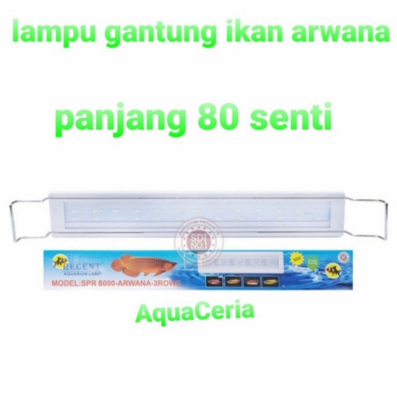 lampu duduk atas aquarium lampu aquarium ikan arwana ikan kelas dunia recent spr 8000