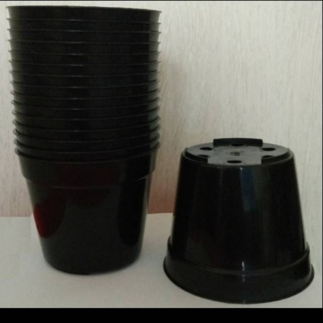 Pot Bibit plastik 10 Cm grosir pot bunga murah