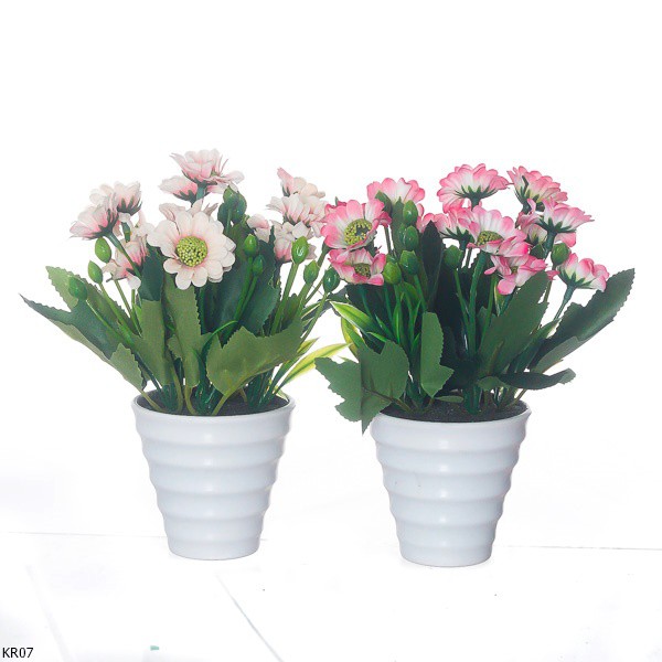 Bunga Krisan KR07 Shopee Indonesia Bunga Krisan KR07 Shopee Indonesia