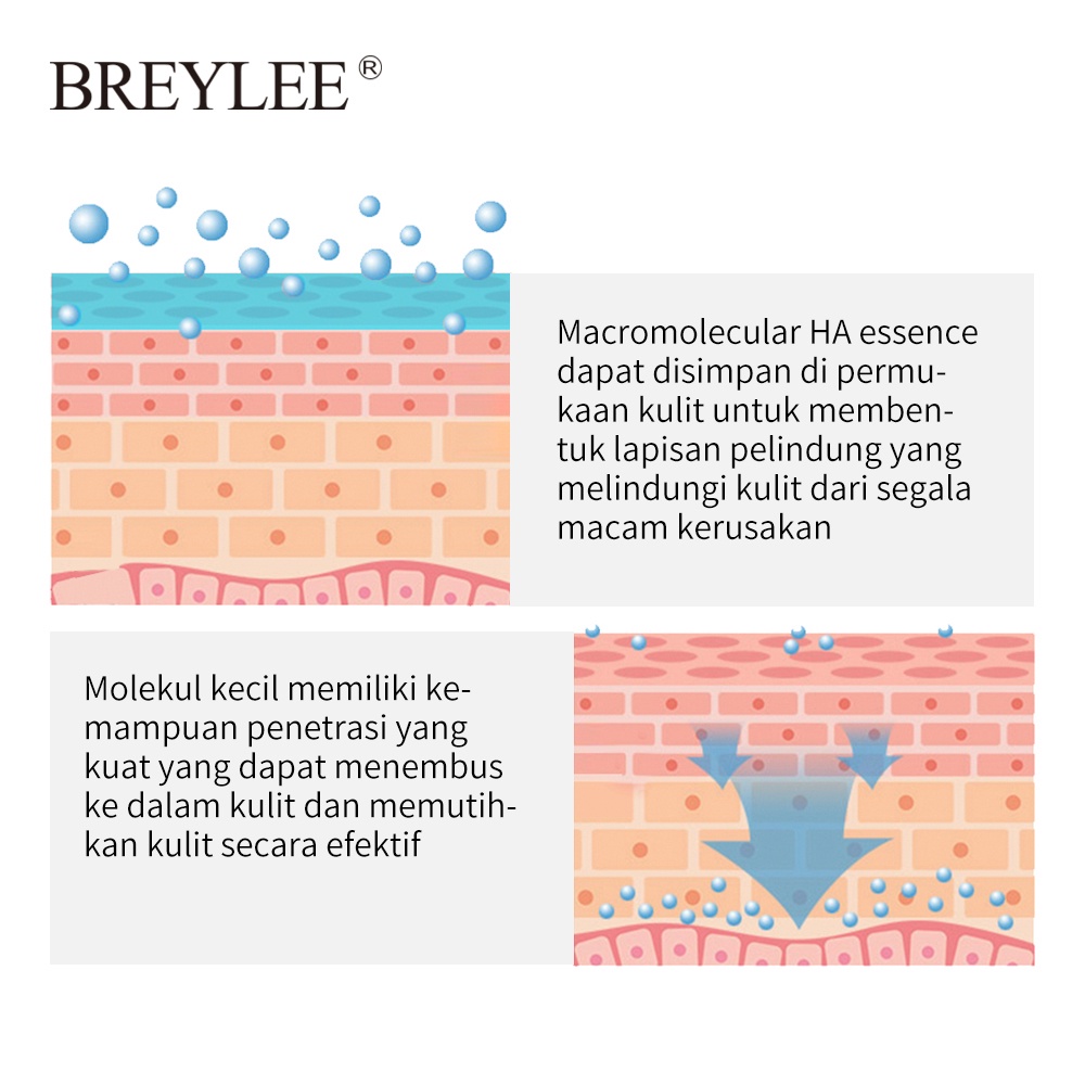 BREYLEE Hyaluronic Acid Essence Melembabkan-Melembabkan / Anti Penuaan /  Meningkatkan Elastisitas Kulit / Mengembalikan Kesehatan Kulit / Mudah Menyerap Facial Essence yang Lembut/Secara Efektif Dapat Memecahkan Masalah Menghidrasi Kulit Kering Ku