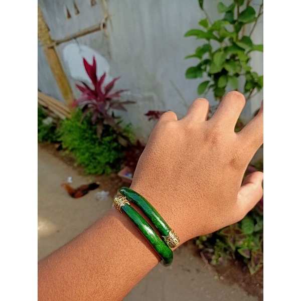 akar Bahar hijau variasi