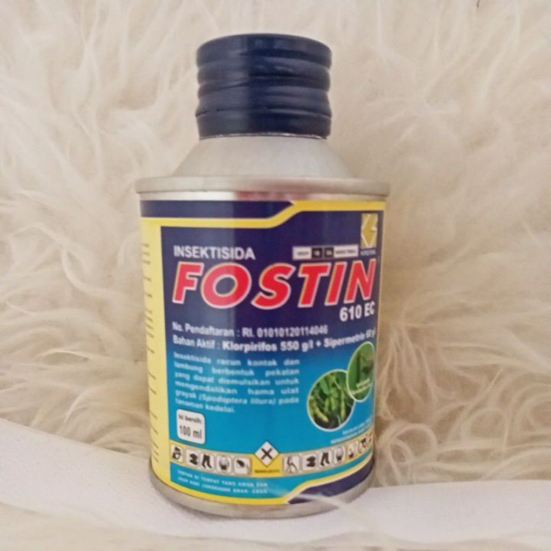 Fostin