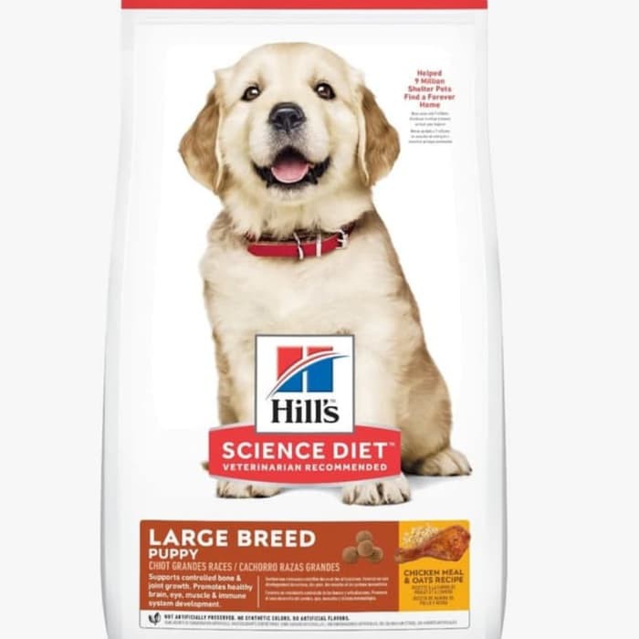 science diet puppy large breed dog food khusus ekspedisi