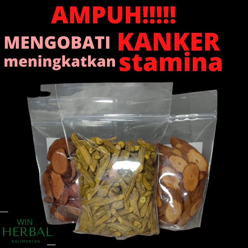 

akar kayu herbal obat bajakah asli kalimantan kalalawit tampala super akar kuning suplemen jamu tradisional obat tumor, kanker, benjolan dan penyakit dalam