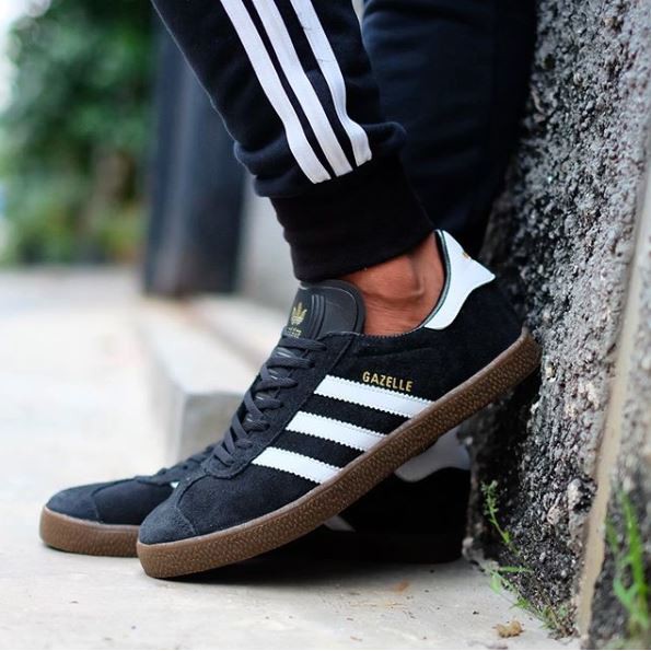 gazelle black gum
