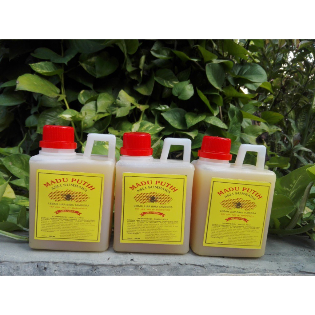 

MADU PUTIH ASLI SUMBAWA 500 ml