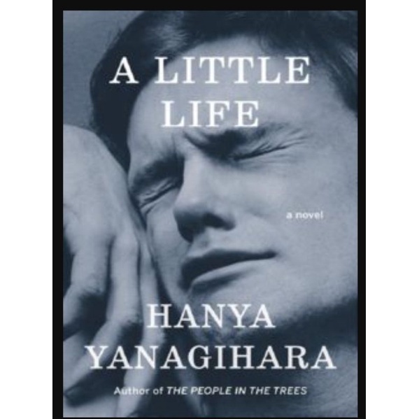Buku A Little Life