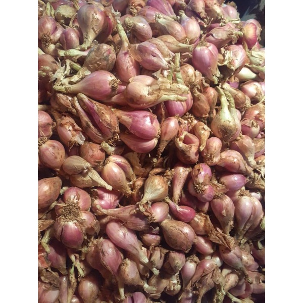 

bawang Sumenep 1kg freesh