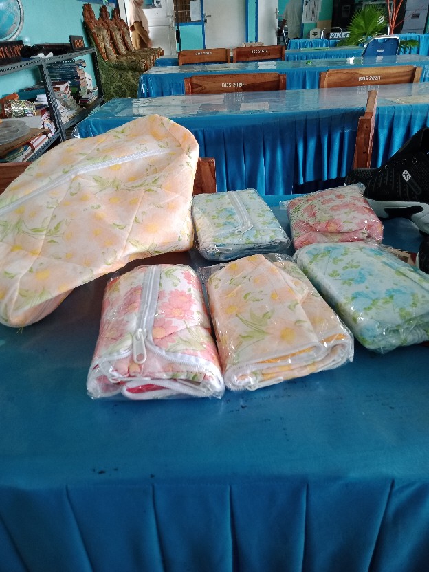 Dengan Lapis Busa Sarung Piring 21cm