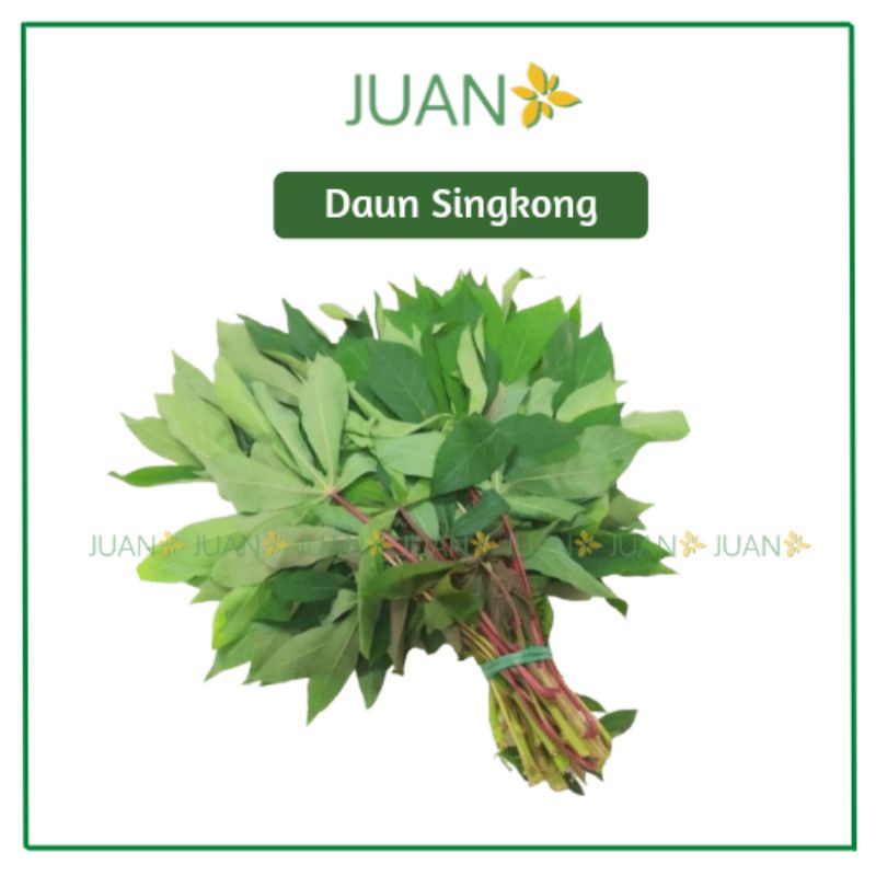 

Daun Singkong 1 Ikat - Juan Freshmart