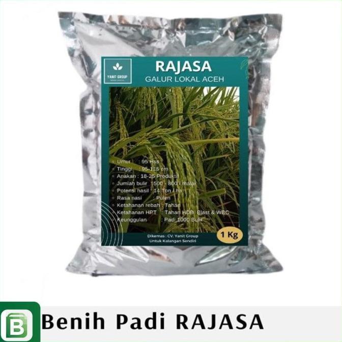 COD Benih Padi Rajasa 01