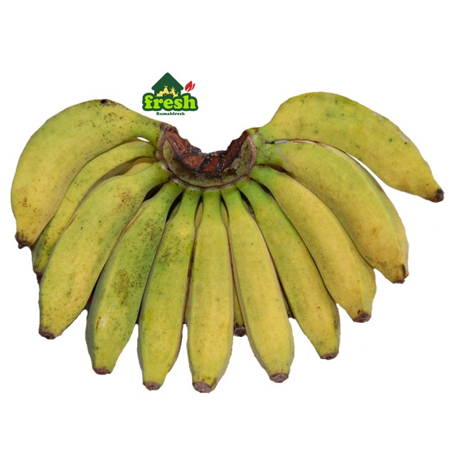 

Pisang RAJA 1 Sisir - Raja Bulu Raja Sereh