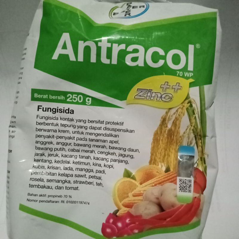 antracol/fungisida antracol