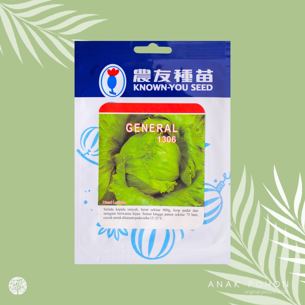 (1 PACK) Benih Selada Krop Hijau GENERAL Iceberg Lettuce Krop Besar &amp; Padat - Known You Seed KYS - 10 GRAM