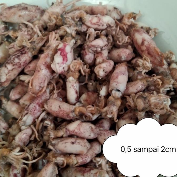 

[COD] Cumi asin beby/cumi asin rebus/cumi asin 500gr [COD]