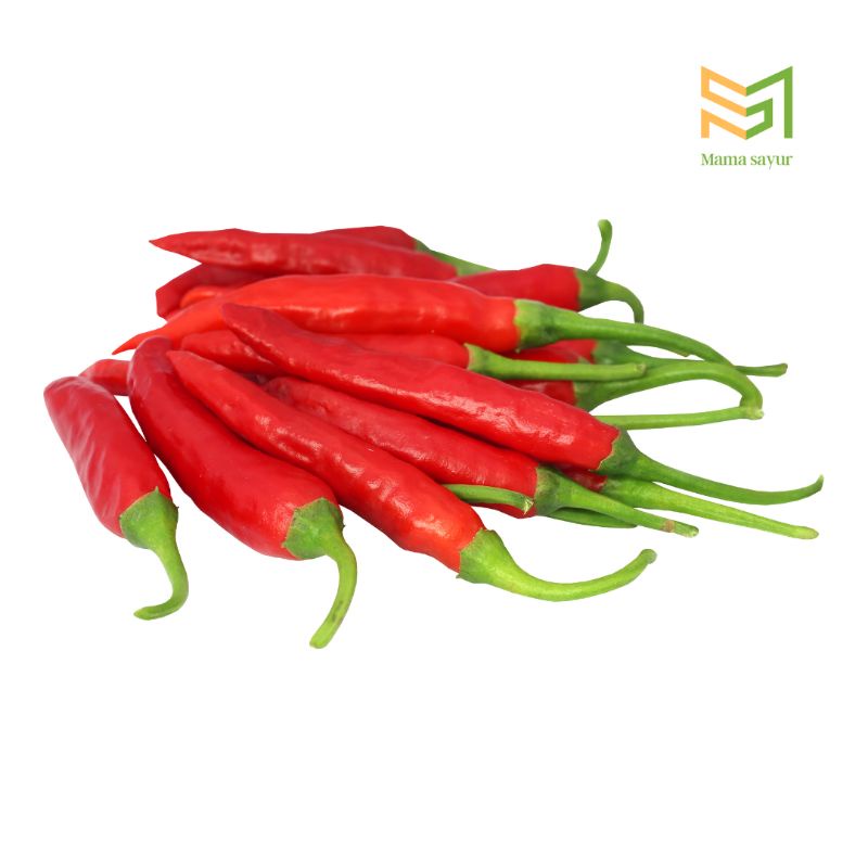 

Cabai besar merah segar per pack