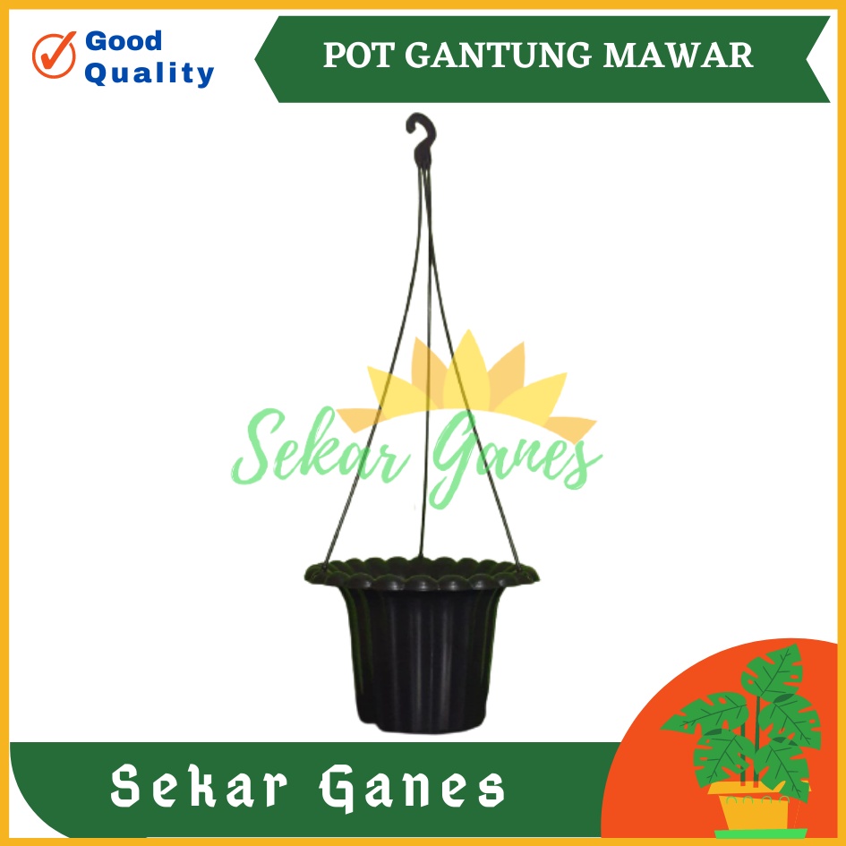 POT HITAM GANTUNG MAWAR PARIS 20 CM - POT GANTUNG HIAS BUNGA LILI PARIS PEPEROMIA GERANIUM MURAH